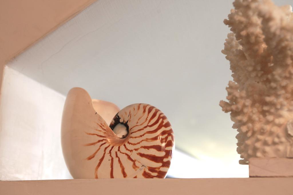 فندق Nautilus ريتشوني المظهر الخارجي الصورة